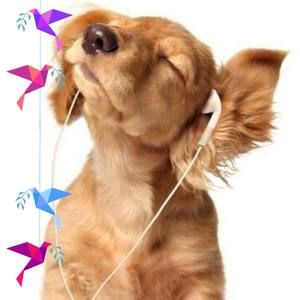 Meet your Posher, Ali